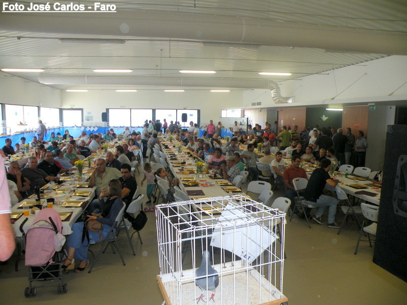 Leilão Serpa 2017 053.JPG