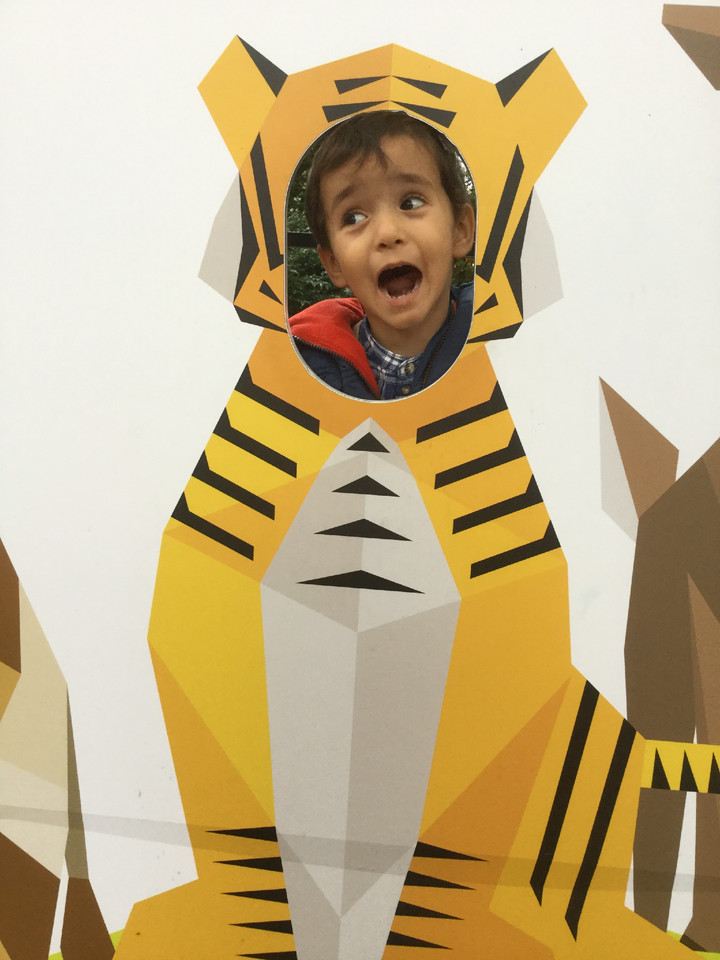 image.jpeg image.jpeg