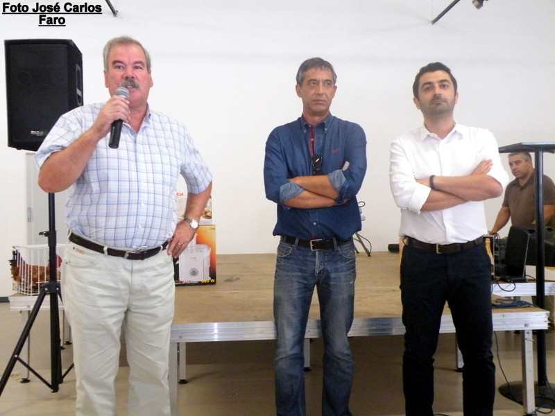 Leilão Serpa 2017 026.JPG