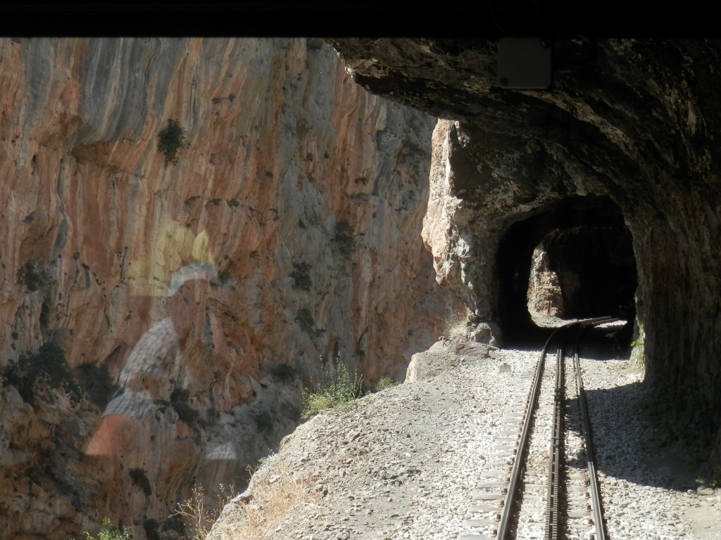 P7301525.JPG P7301525.JPG