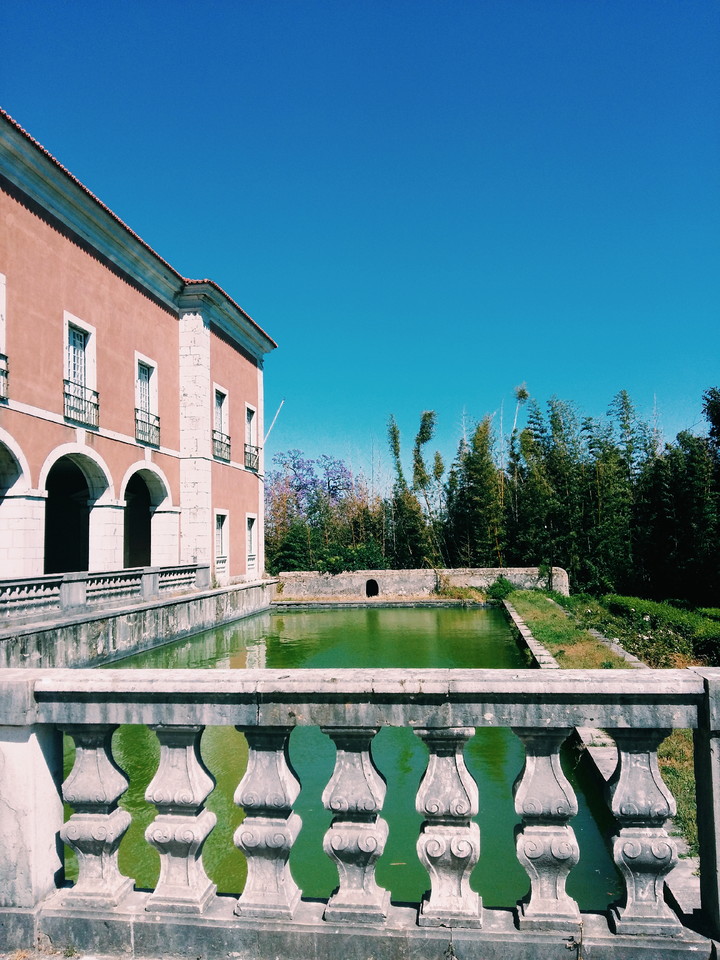 2015-05-31 06.11.59 1.jpg