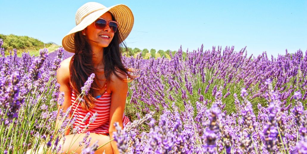 Volto JÁ na Provença