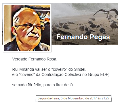 FernandoPegas5.png