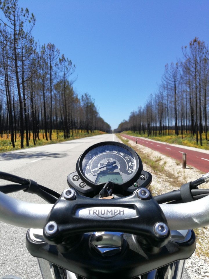 IMG_20180810_132436.jpg IMG_20180810_132436.jpg