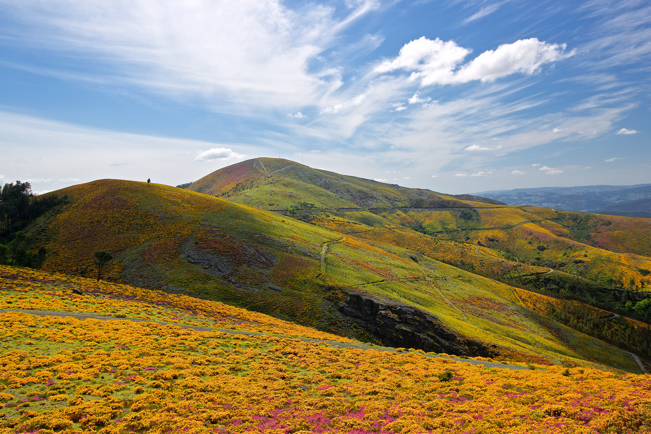 Serra do Marão.jpg