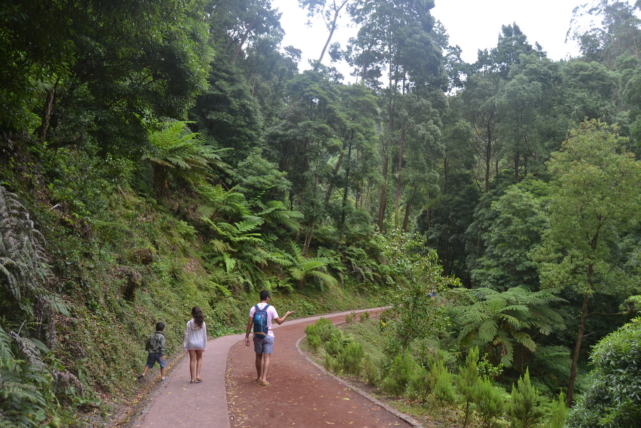 DSC_0895.JPG DSC_0895.JPG