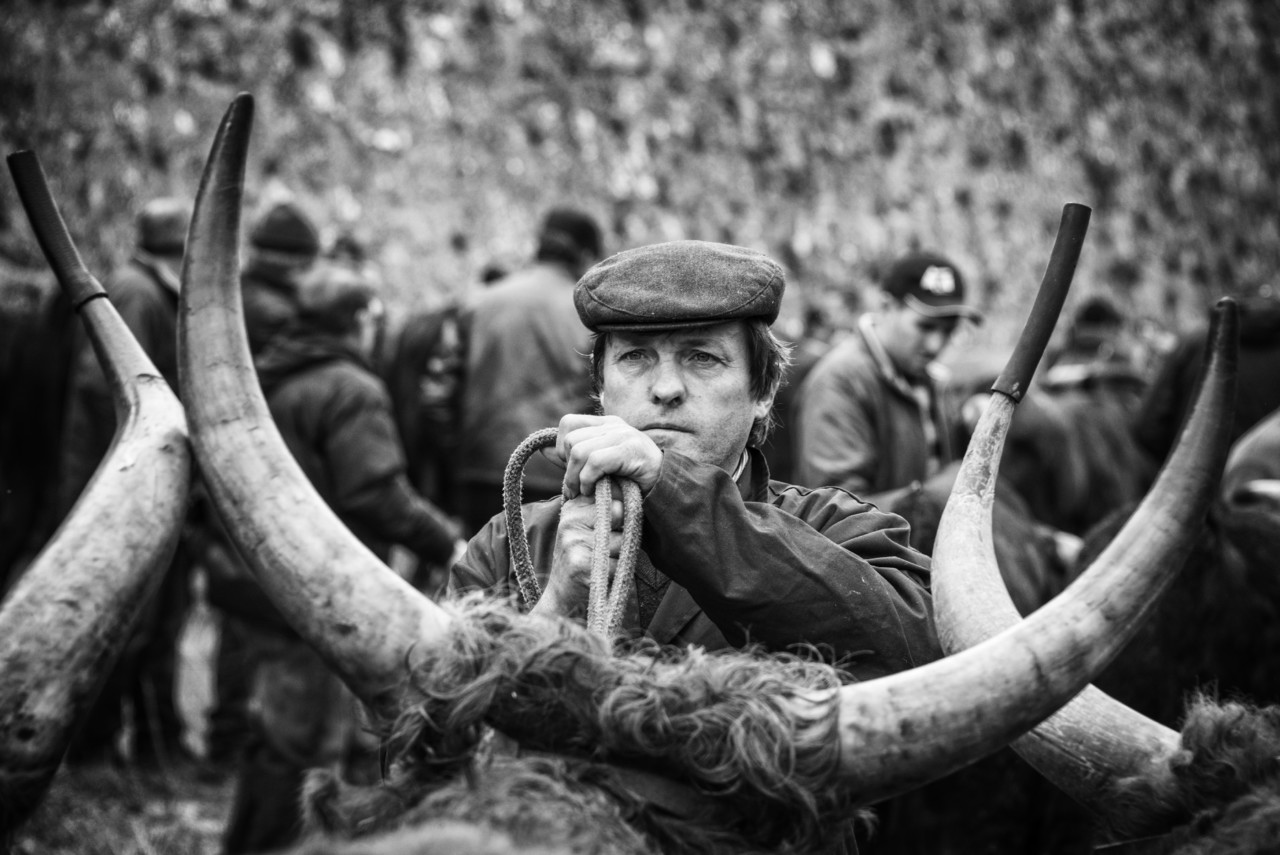 Santos 2015 (1) 209 - cópia copy.jpg