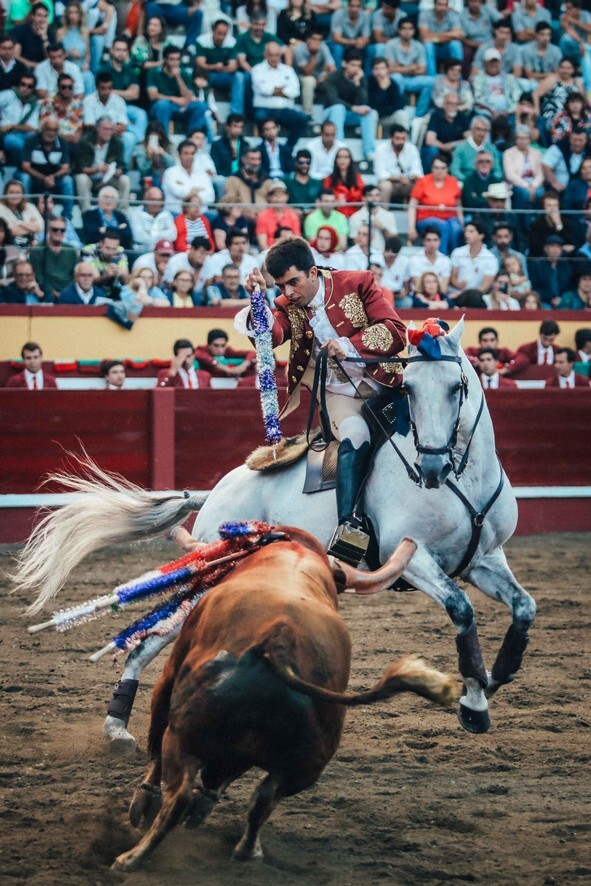 14-Mourina de Moura Jr ao 5º toiro.jpg