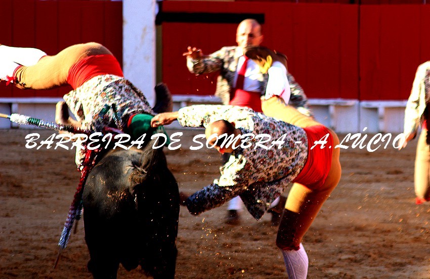 AMAD MOITA DAVID SOLO.JPG