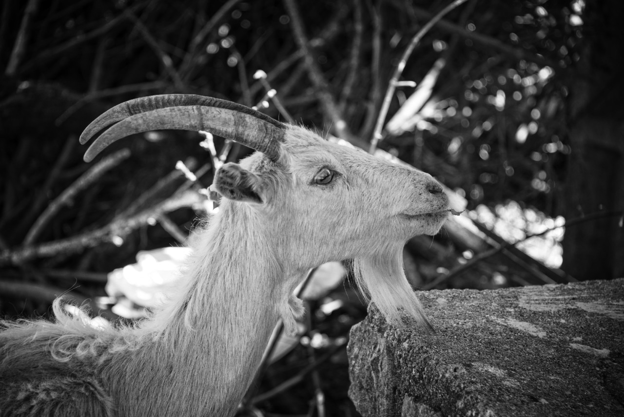 _JMF6464 - cópia copy.jpg _JMF6464 - cópia copy.jpg