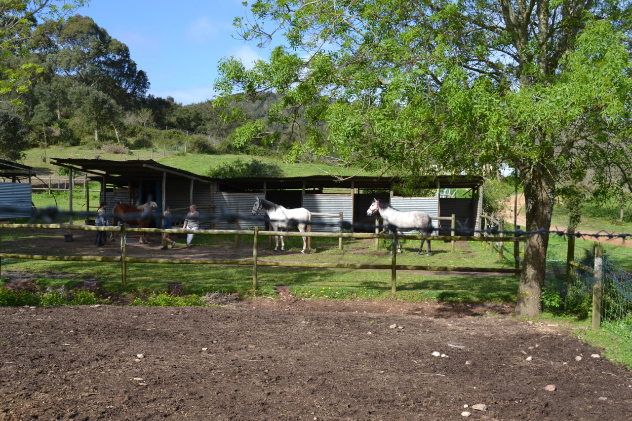 DSC_0944.jpg DSC_0944.jpg