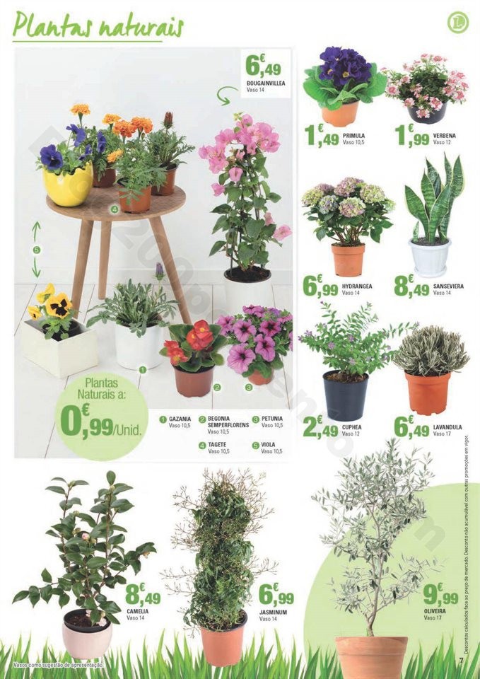 Antevisão Folheto E-LECLERC Especial jardim promo