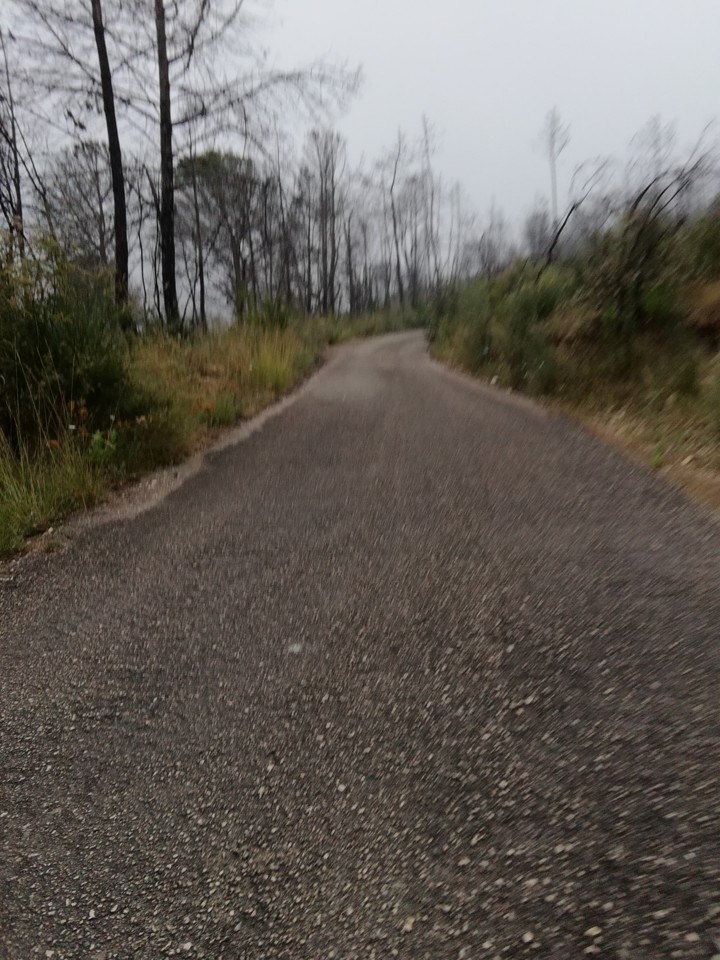 IMG_20190716_083956.jpg IMG_20190716_083956.jpg