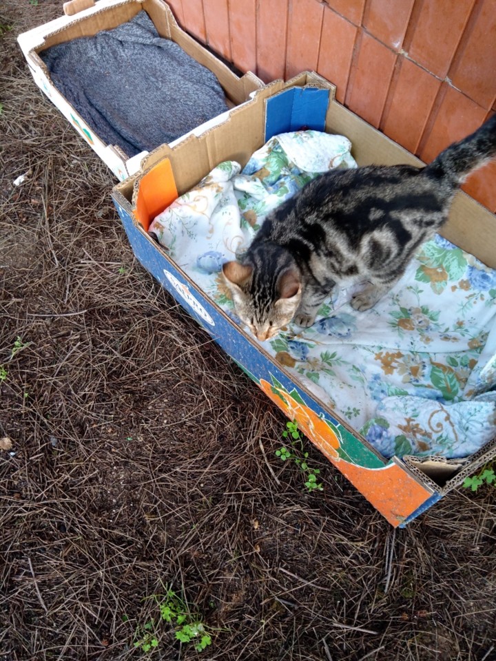 SquarePic_20200115_16242822.jpg SquarePic_20200115_16242822.jpg