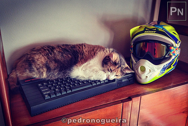 Out_2017_047a 3_2 650px.jpg