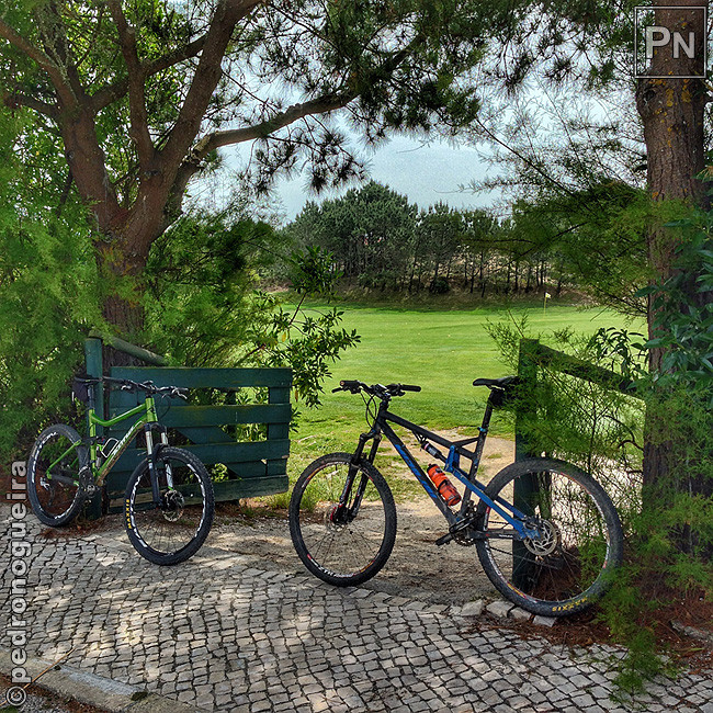 Mai_2017_088a 650px.jpg