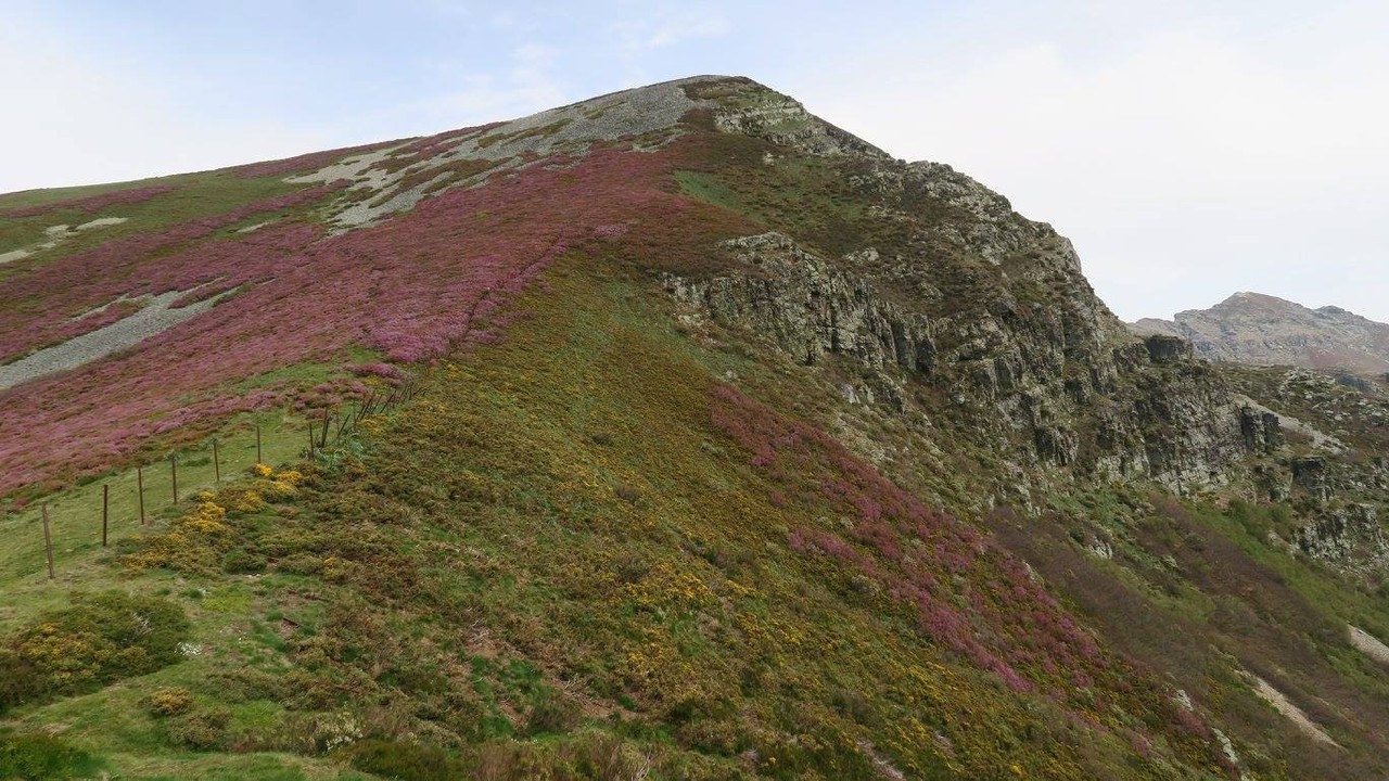 18671338_1567435519934211_1171554969037214118_o.jp