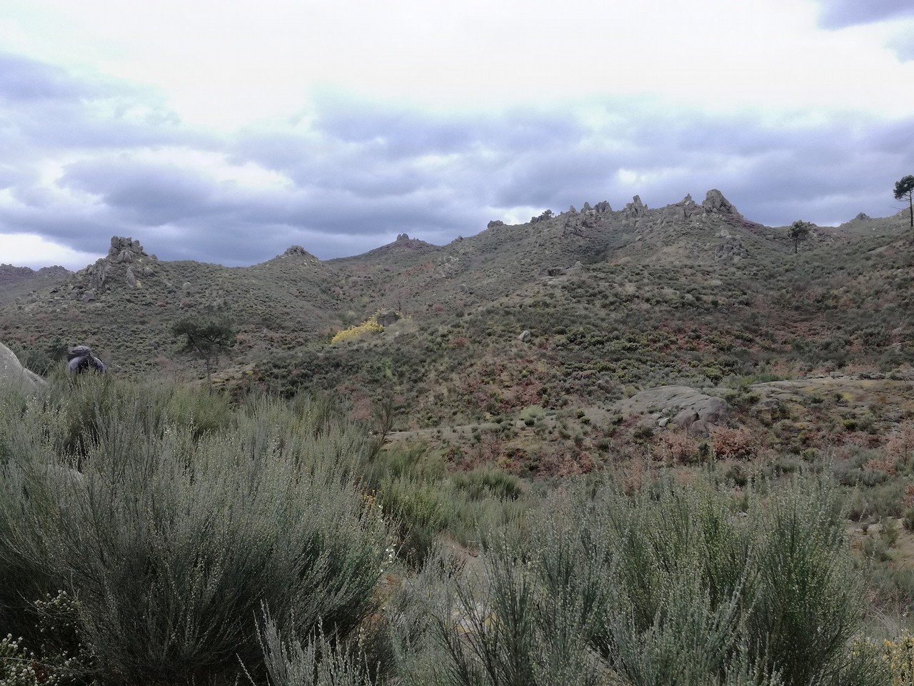 17545173_1535134116498828_7157582078536894037_o.jp