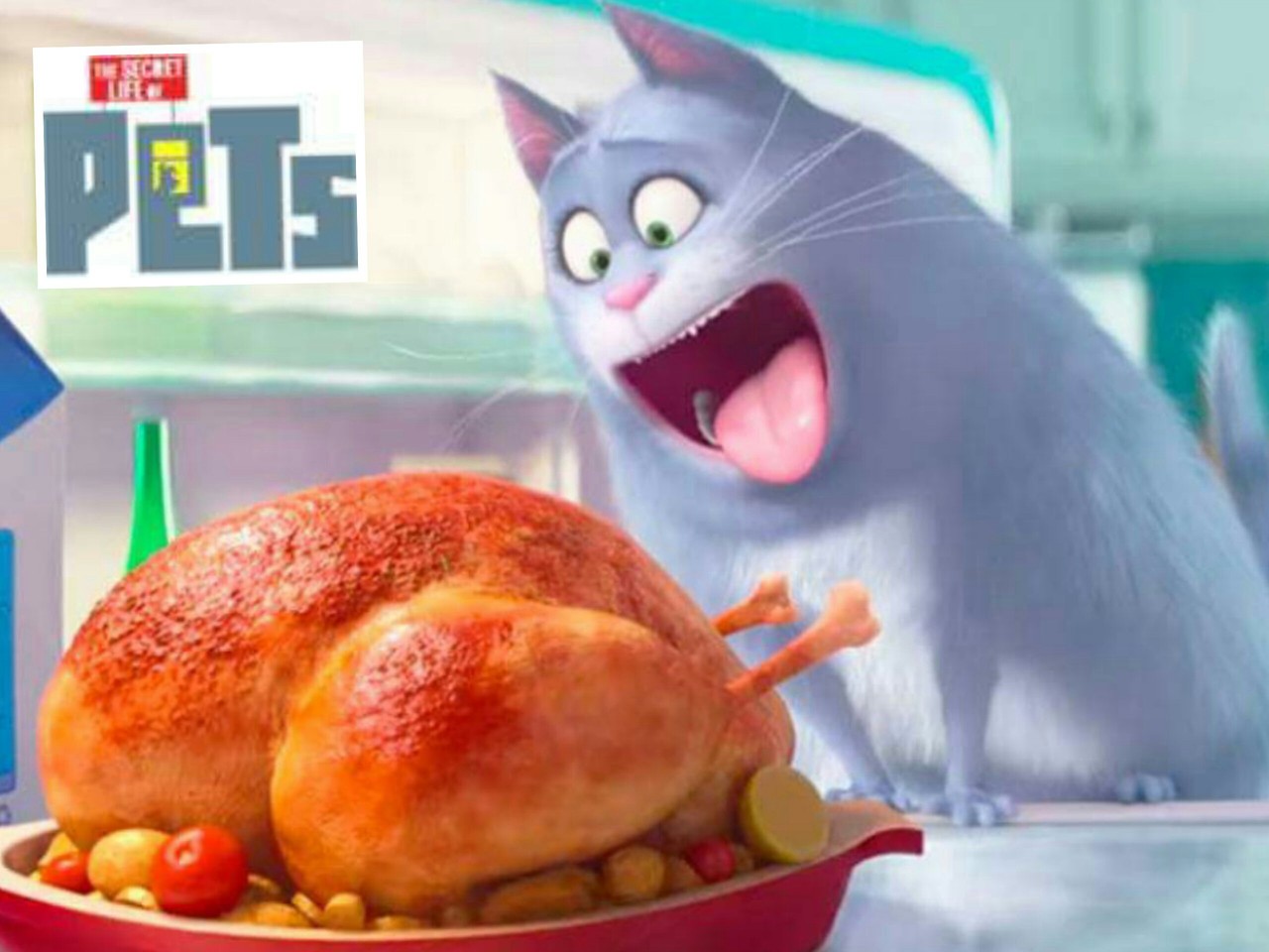 2015-06-22 10.23.08.jpg