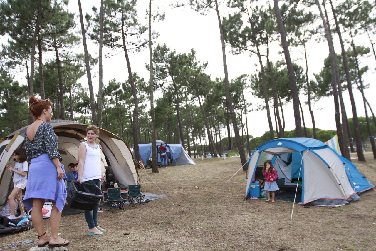 _MG_2892.JPG _MG_2892.JPG