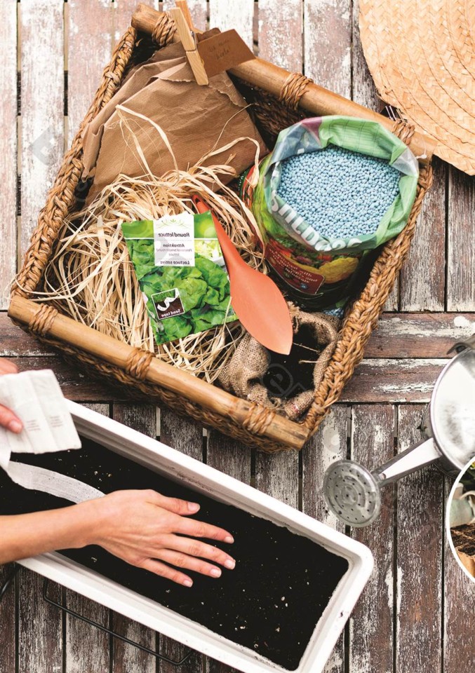 plantas_lidl_mercado_017.jpg