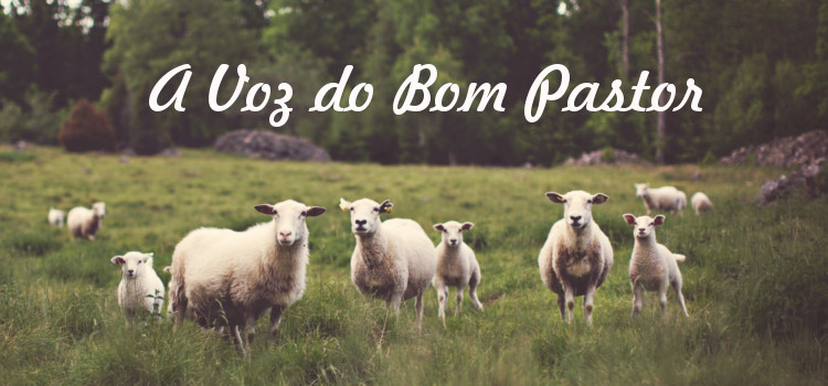 voz-bom-pastor.jpg voz-bom-pastor.jpg