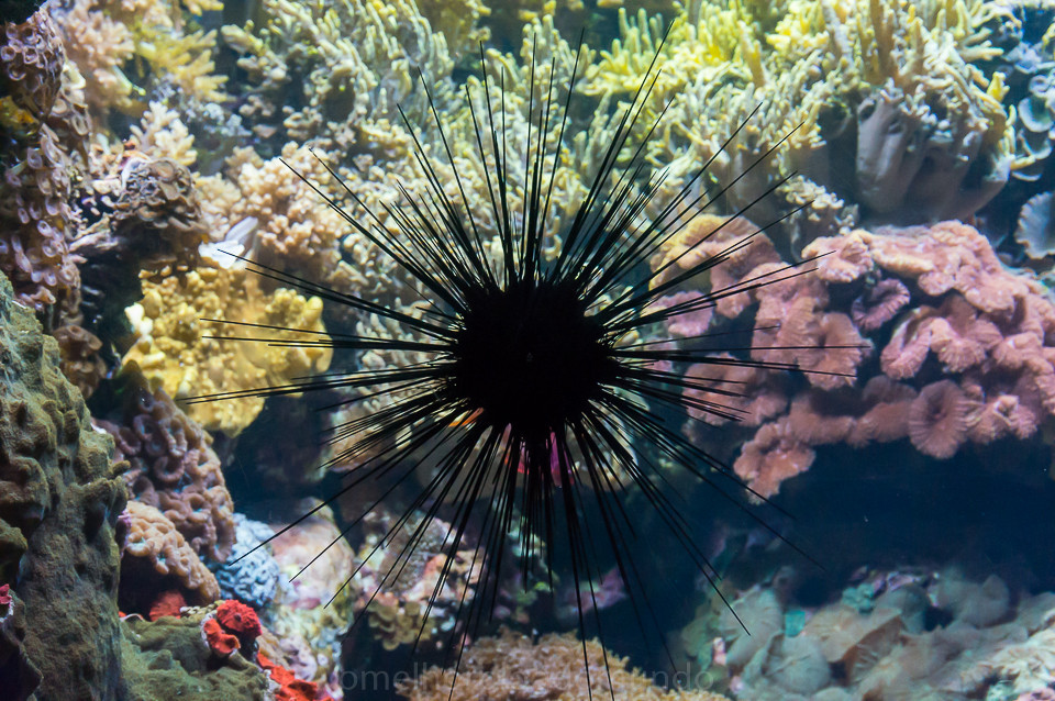 DSC00284.jpg DSC00284.jpg