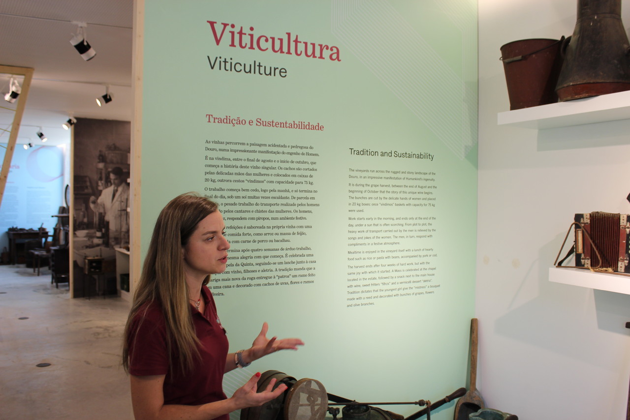 Quinta Nova N. S. do Carmo