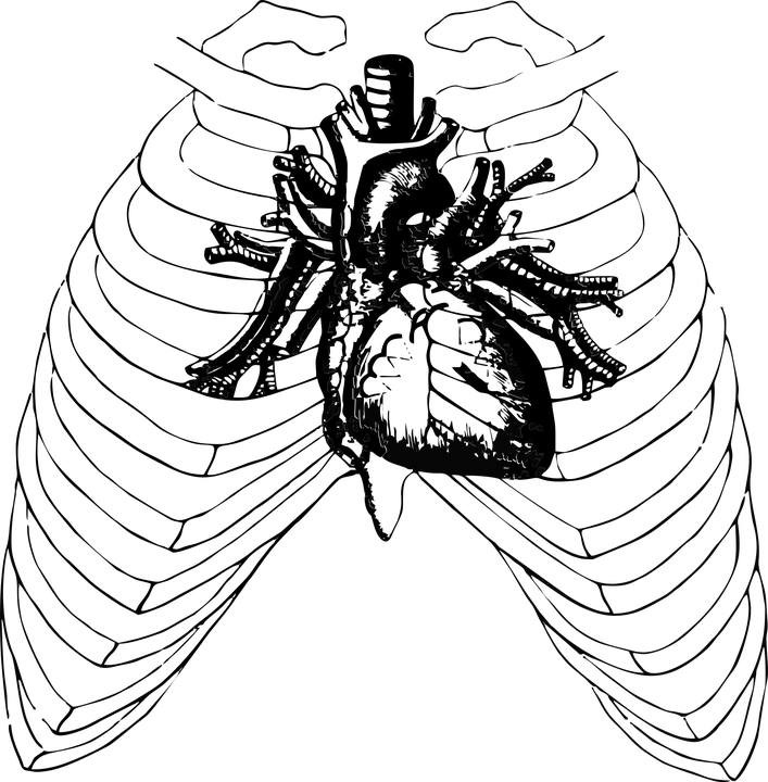 22730439_1676064842441497_739234122457504444_n (1)