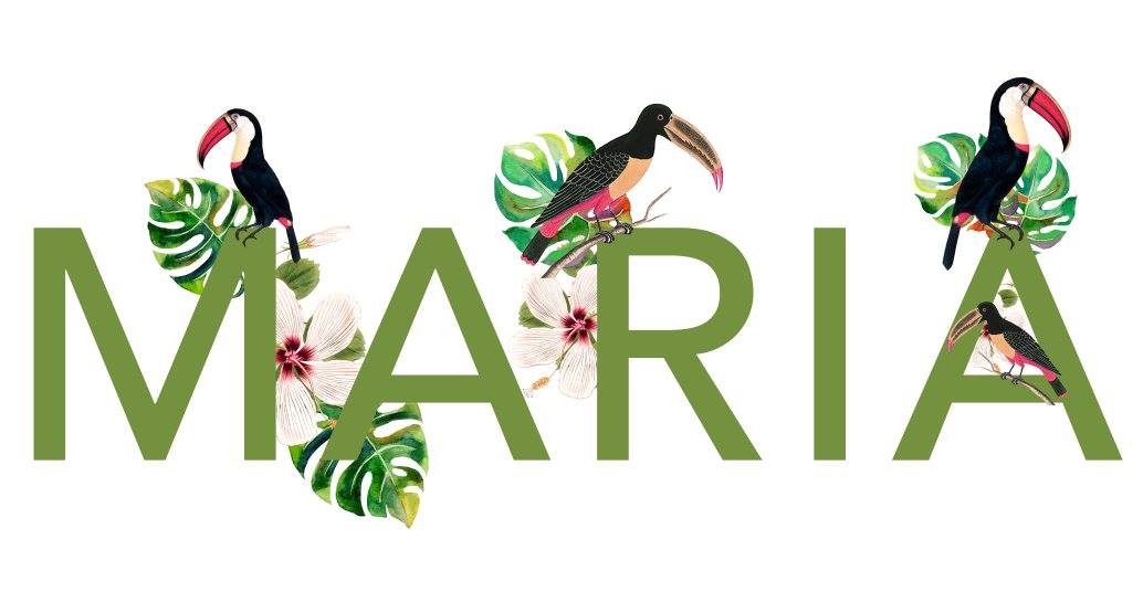 22424457_1593881970675878_7350164220376121970_o.jp