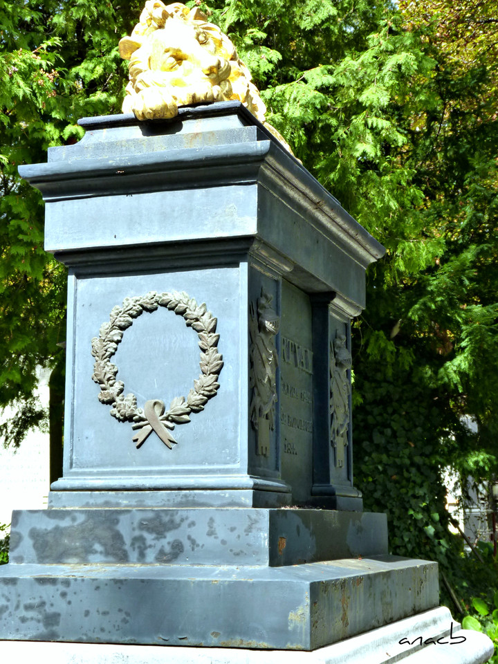 P1370963 cópia assin.jpg