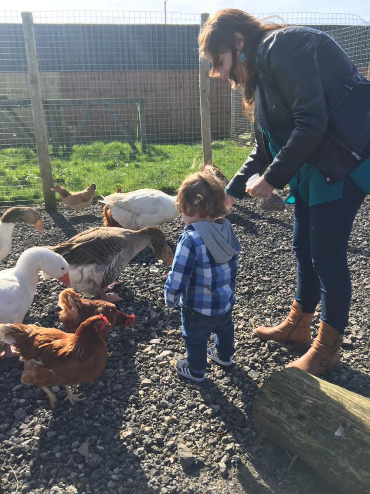 20170326_132353056_ios.jpg 20170326_132353056_ios.jpg