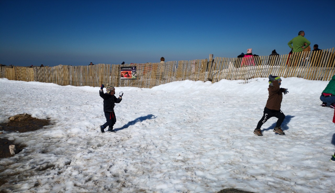 IMG_20190320_084108.jpg IMG_20190320_084108.jpg