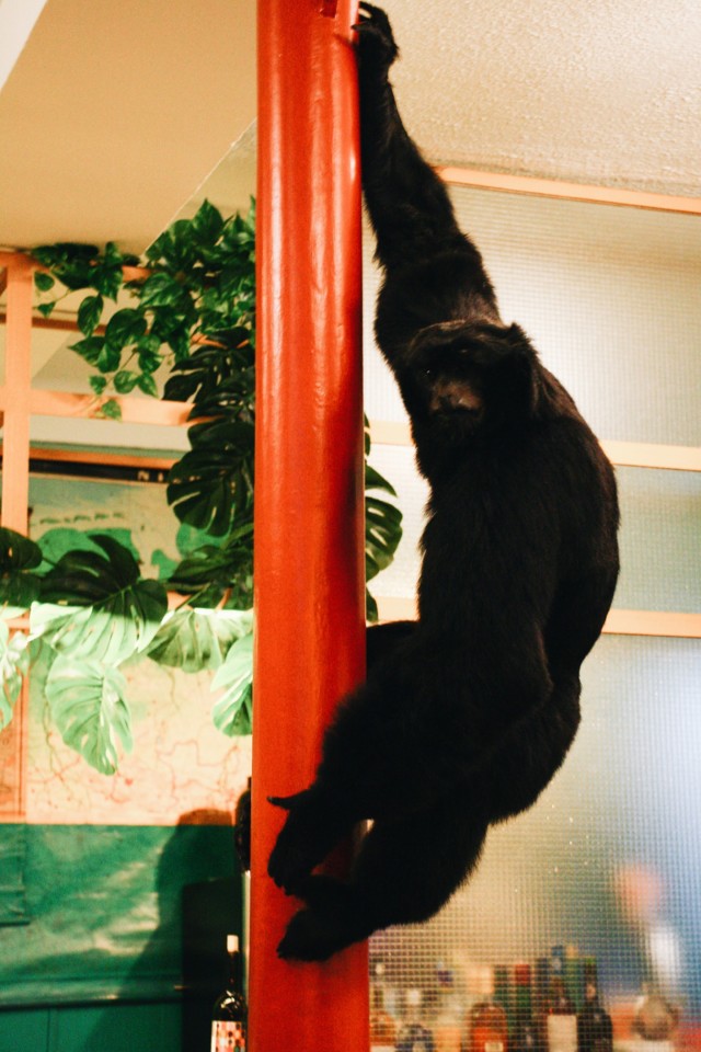 geographia-deco-1.jpg geographia-deco-1.jpg