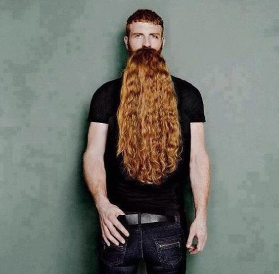 fotografia ilus fotografia ilus