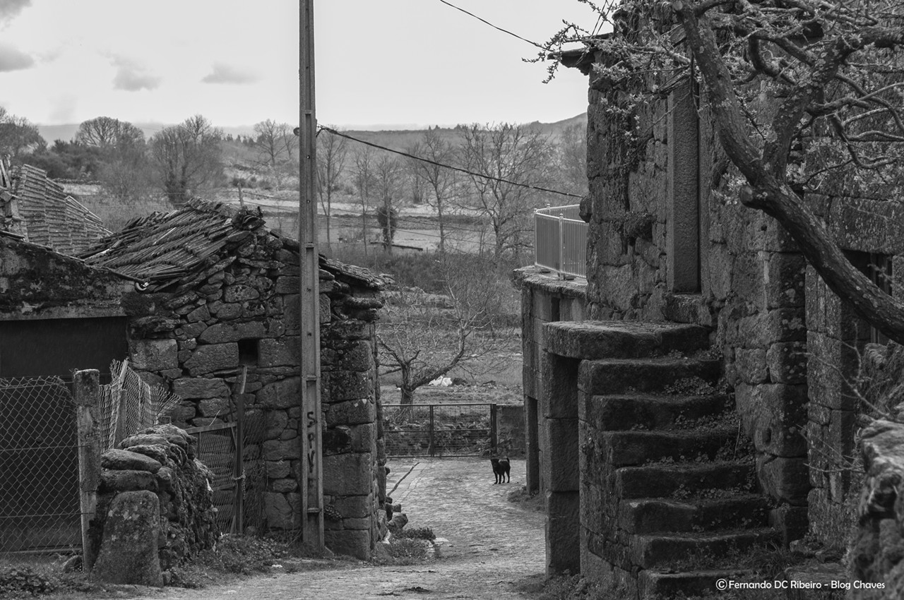 1600-cepeda (71).jpg