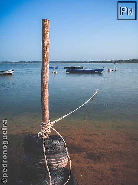 Jun_2022_019 650px.jpg