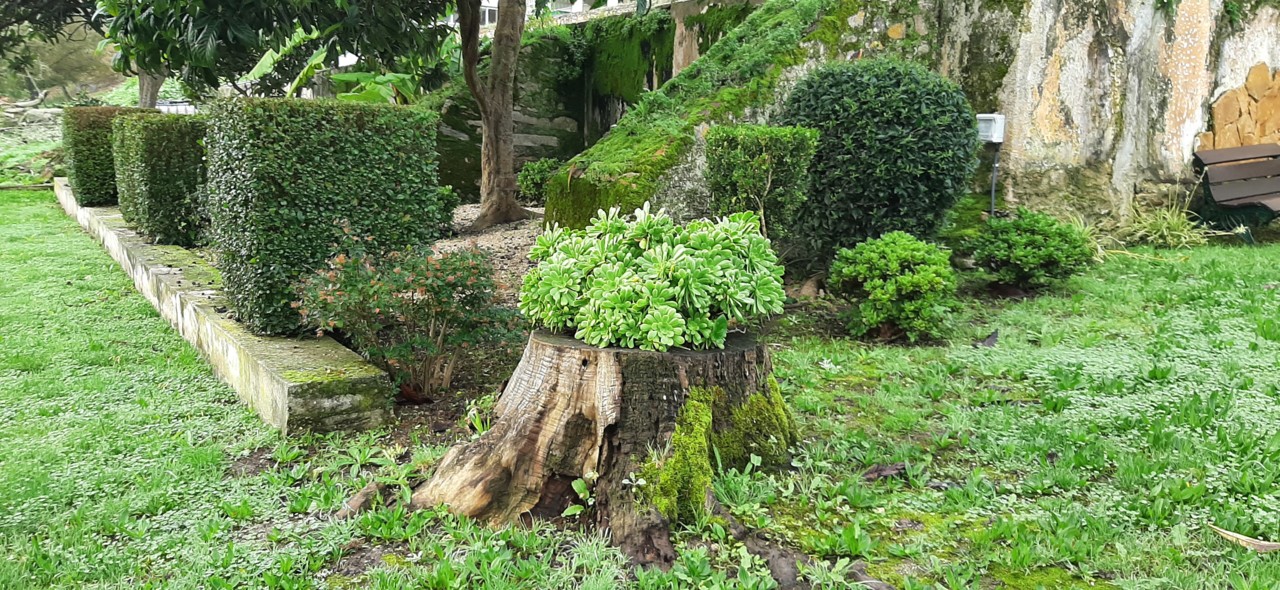 20191223_093129.jpg 20191223_093129.jpg