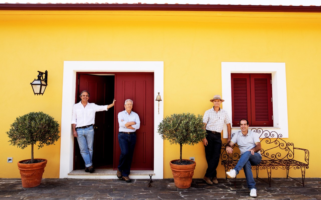 Dona Matilde Porto 2013