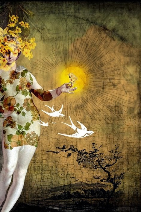 o sol na tua mão.jpg