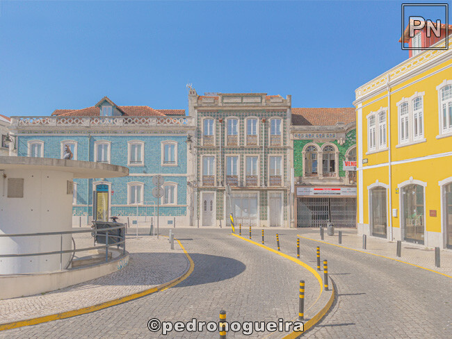 Jul_2023_023 650px.jpg