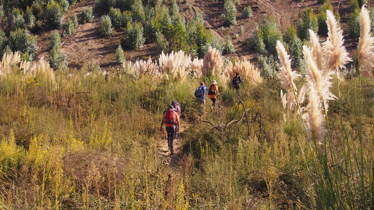 21544096_1799091606770924_5175716579109600973_o.jp