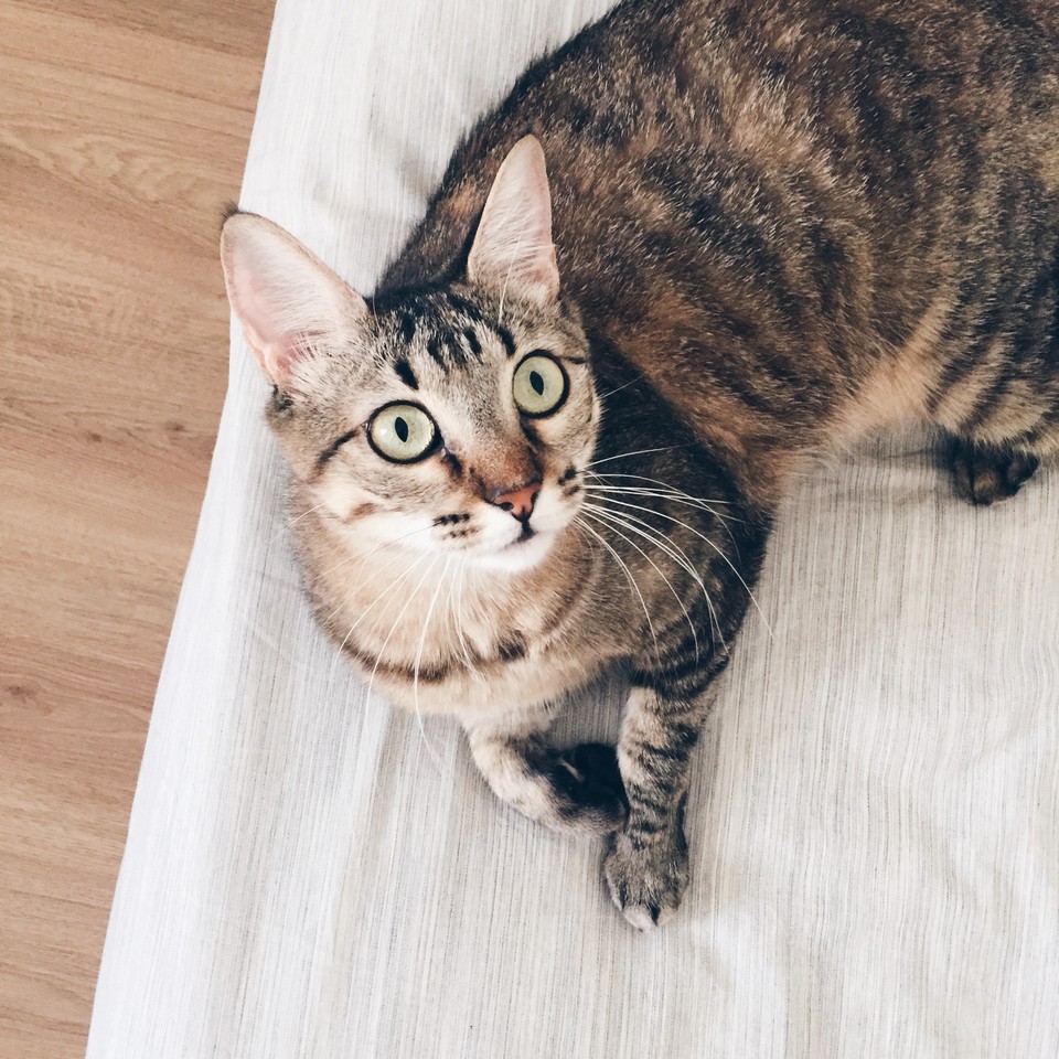 guinness-3.jpg guinness-3.jpg