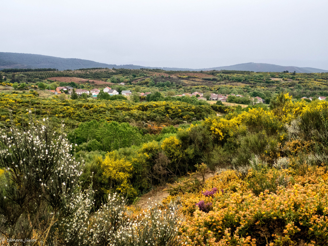 CPIS - 2ª etapa (Verín-Viladerrei) (142).jpg