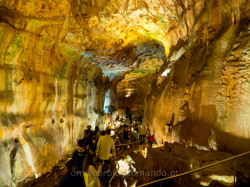 P5310029.jpg P5310029.jpg