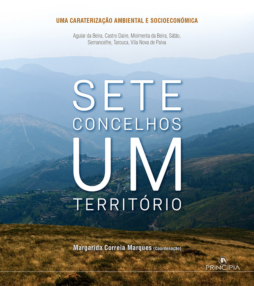 CAPA_do livro para promocao.jpg