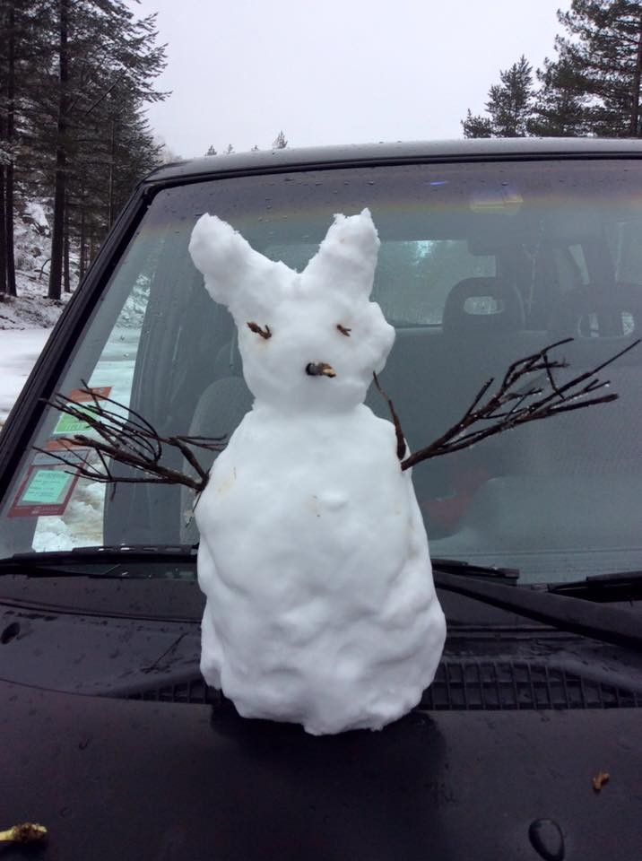 12729100_1654760414787777_1084434553445257582_n.jp