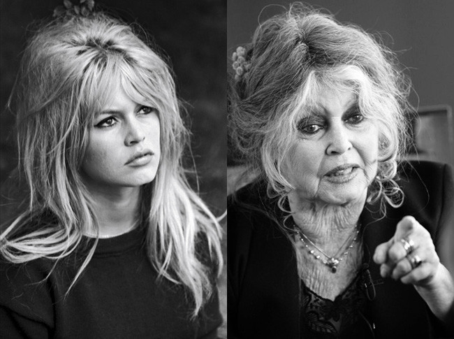 Brigitte Bardot.jpg