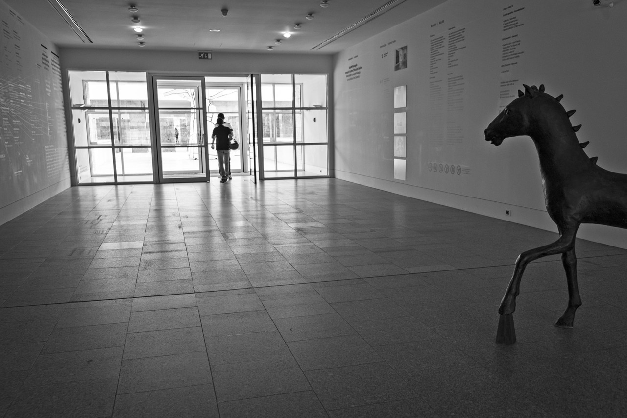 DSCF4766 - cópia copy.jpg