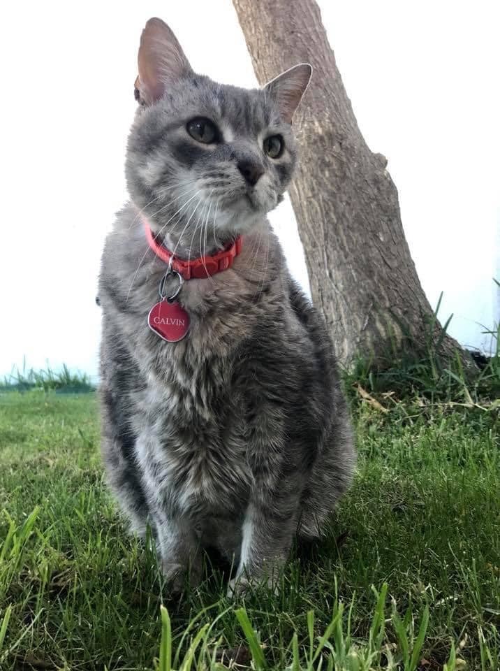 161672006_3971557962903812_785196576243016737_n.jp 161672006_3971557962903812_785196576243016737_n.jp